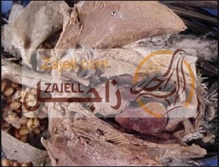 الجهاز الهضمي للحمام