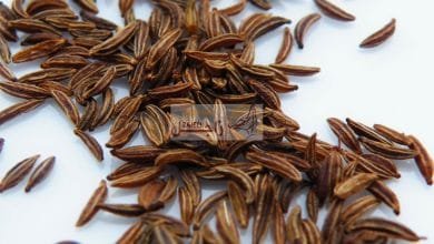 فائدة الكراوية للحمام