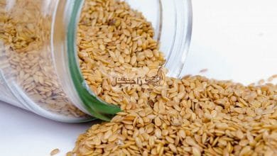 تعرف على فائدة السمسم للحمام